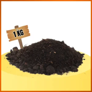 Vermicompost – কেঁচো সার | প্রাকৃতিক জৈব সার, মাটি পুষ্টি ও স্বাস্থ্যকর বৃদ্ধির জন্য